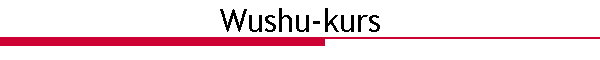 Wushu-kurs